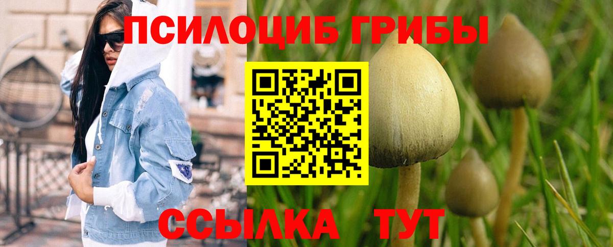 Псилоцибиновые грибы Magic Shrooms  Вход с VPN  Йошкар-Ола 